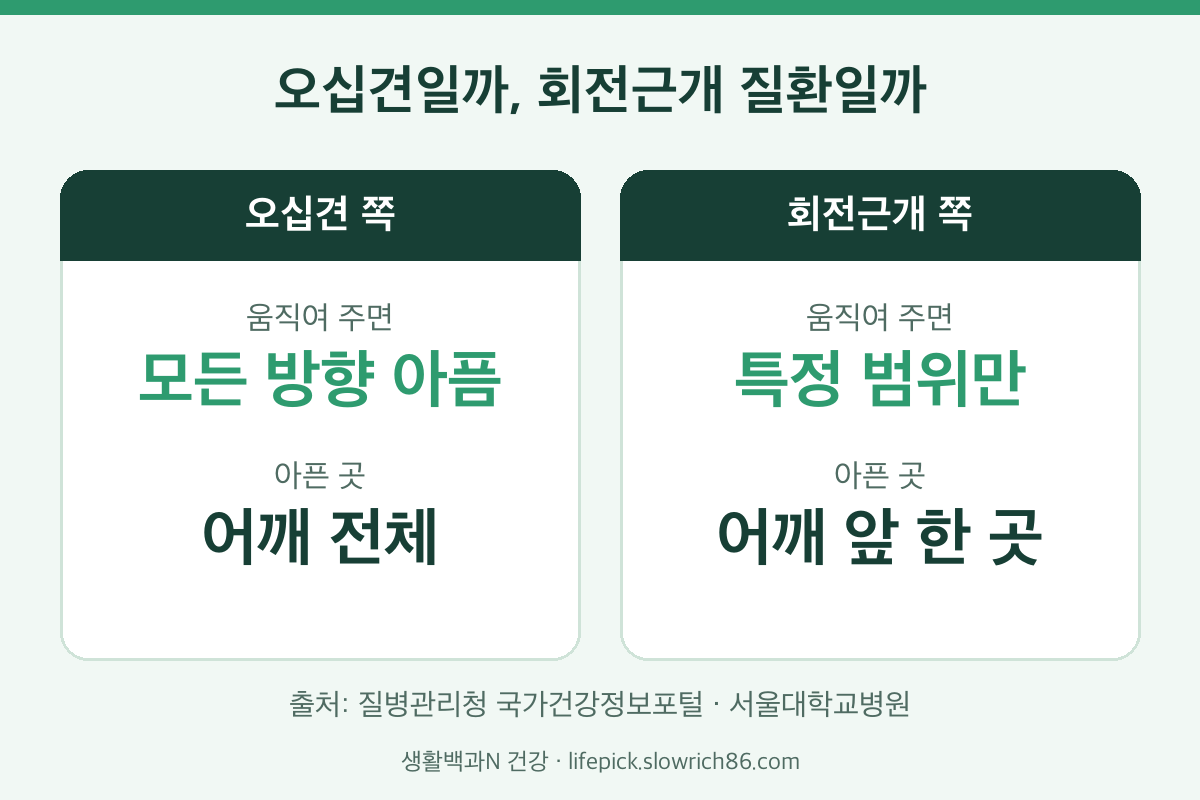 오십견 증상과 회전근개 질환 비교