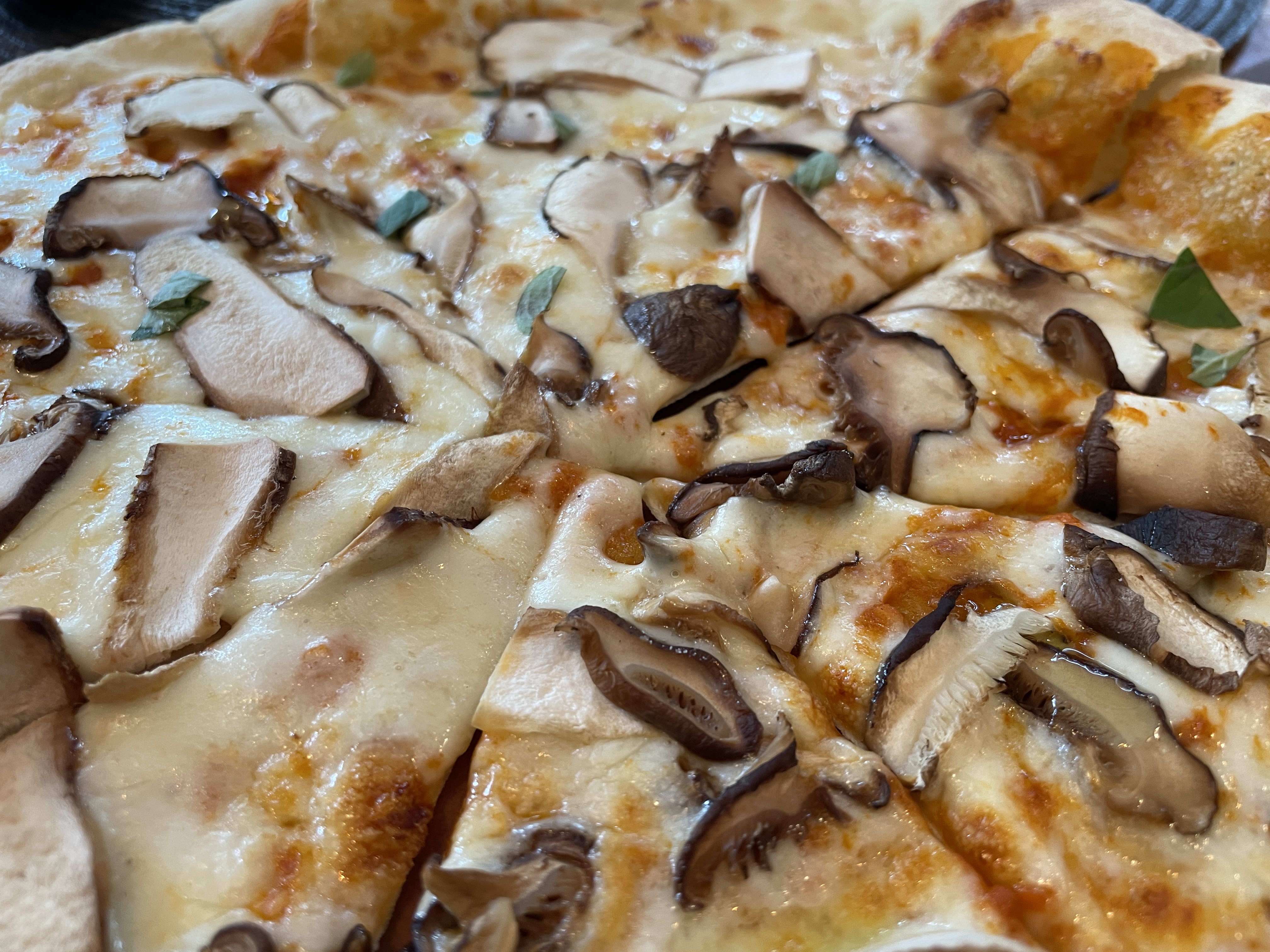 아름다운땅 풍기피자