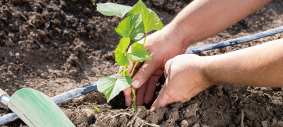 상하농원 뽀개기 시리즈 6편❘1박 2일 루트 추천 플래너(체험&middot;숙박&middot;식사&middot;산책 코스)