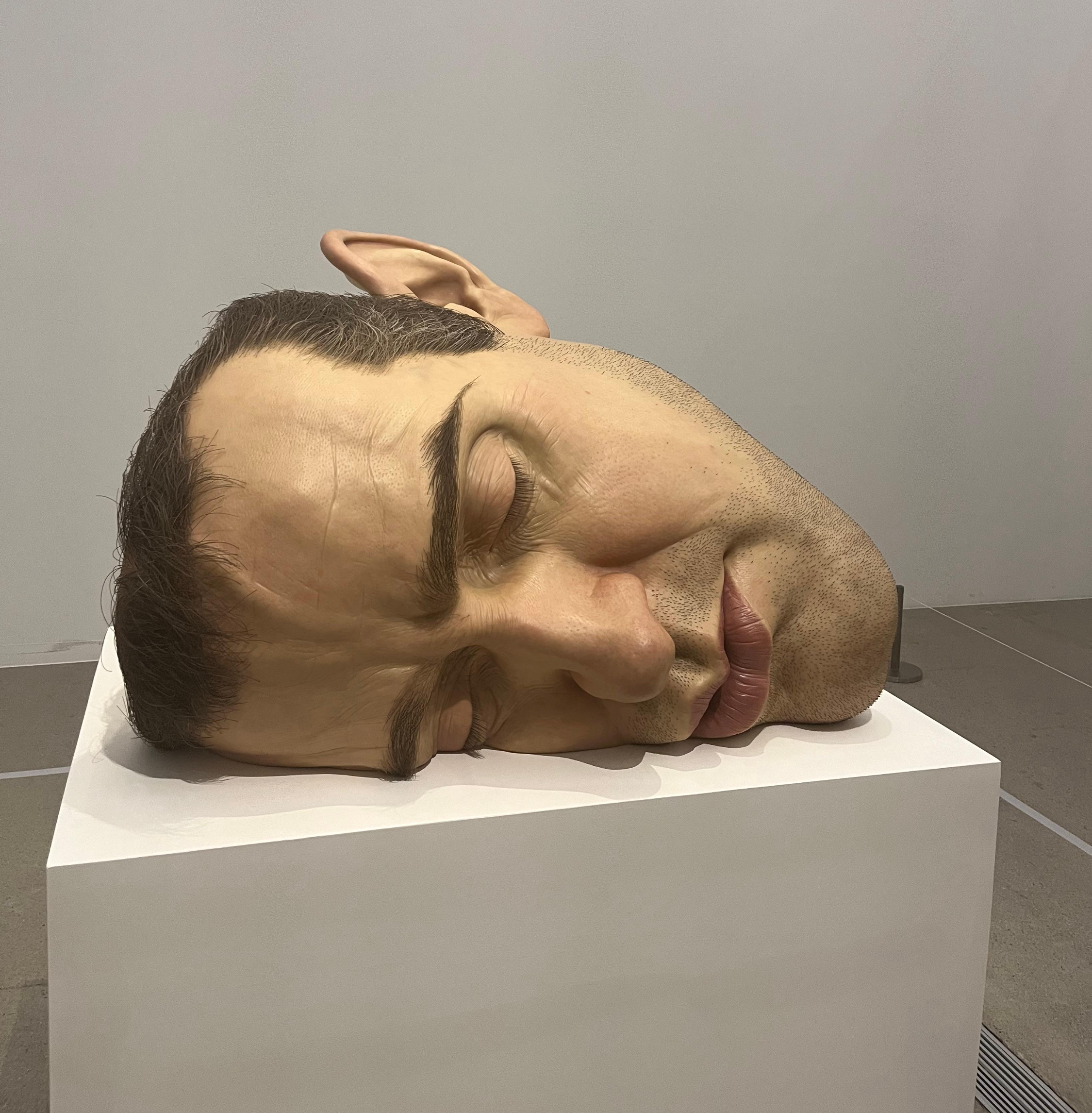 2025년 론 뮤익 전시 후기 ❘ 실제보다 더 진짜 같았던 인간의 얼굴
Ron Mueck - Mask 2