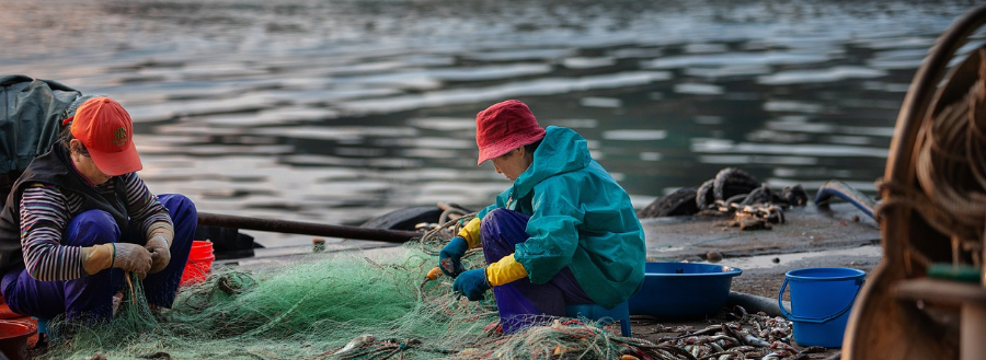 어민들 사진