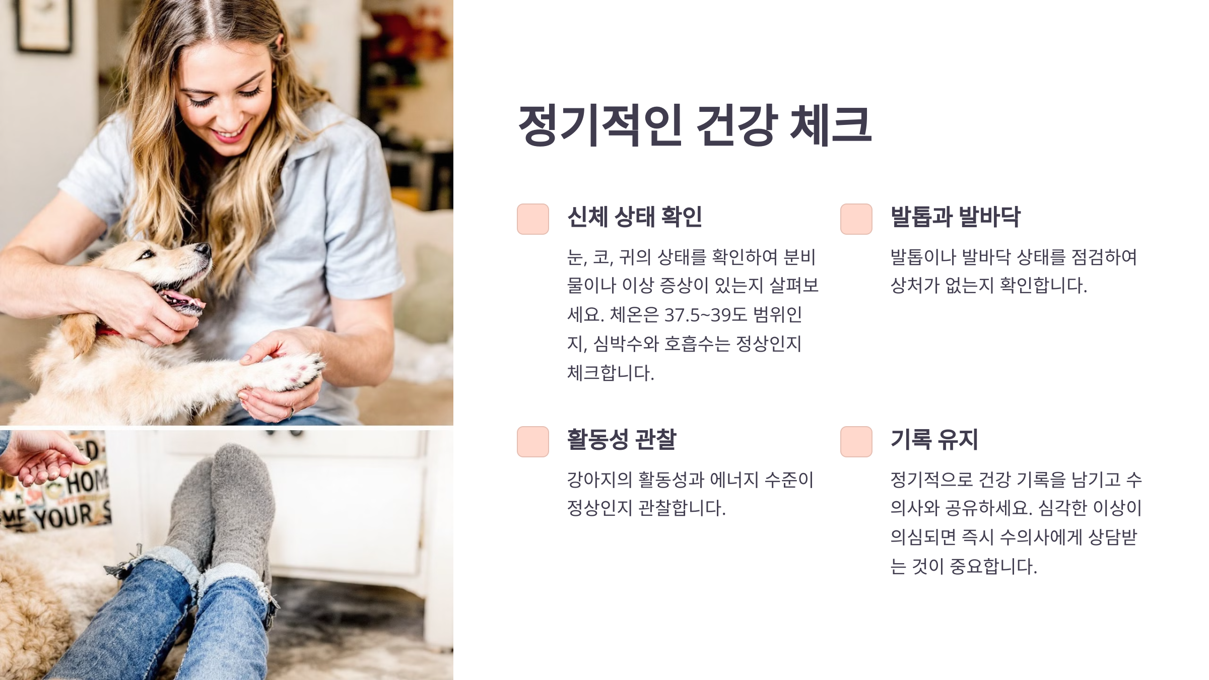 정기적인 건강 체크