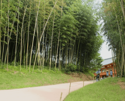 가을여행 단풍 기차여행 추천