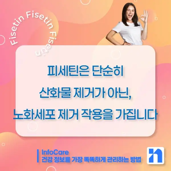 피세틴 효능 복용법