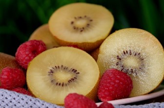 배부른 영양실조&amp;#44; 키위가 답이다