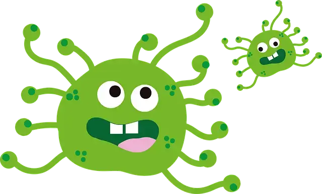 코로나19 4급 감염병 전환 2단계 조치