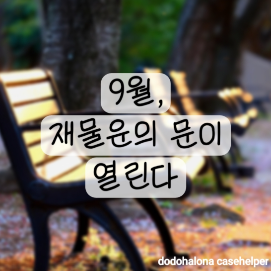 9월 을유달 총운 공개｜올가을 재물&middot;사업&middot;인연의 흐름은?