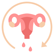 생리하는 꿈해몽