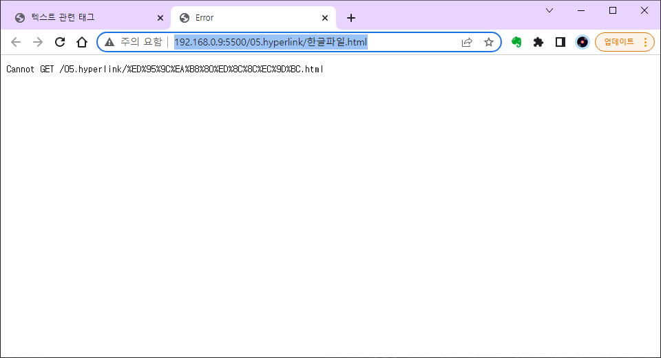 VSCode - Live Server : 파일명 공백 사용 시 오류 발생한 브라우저 화면