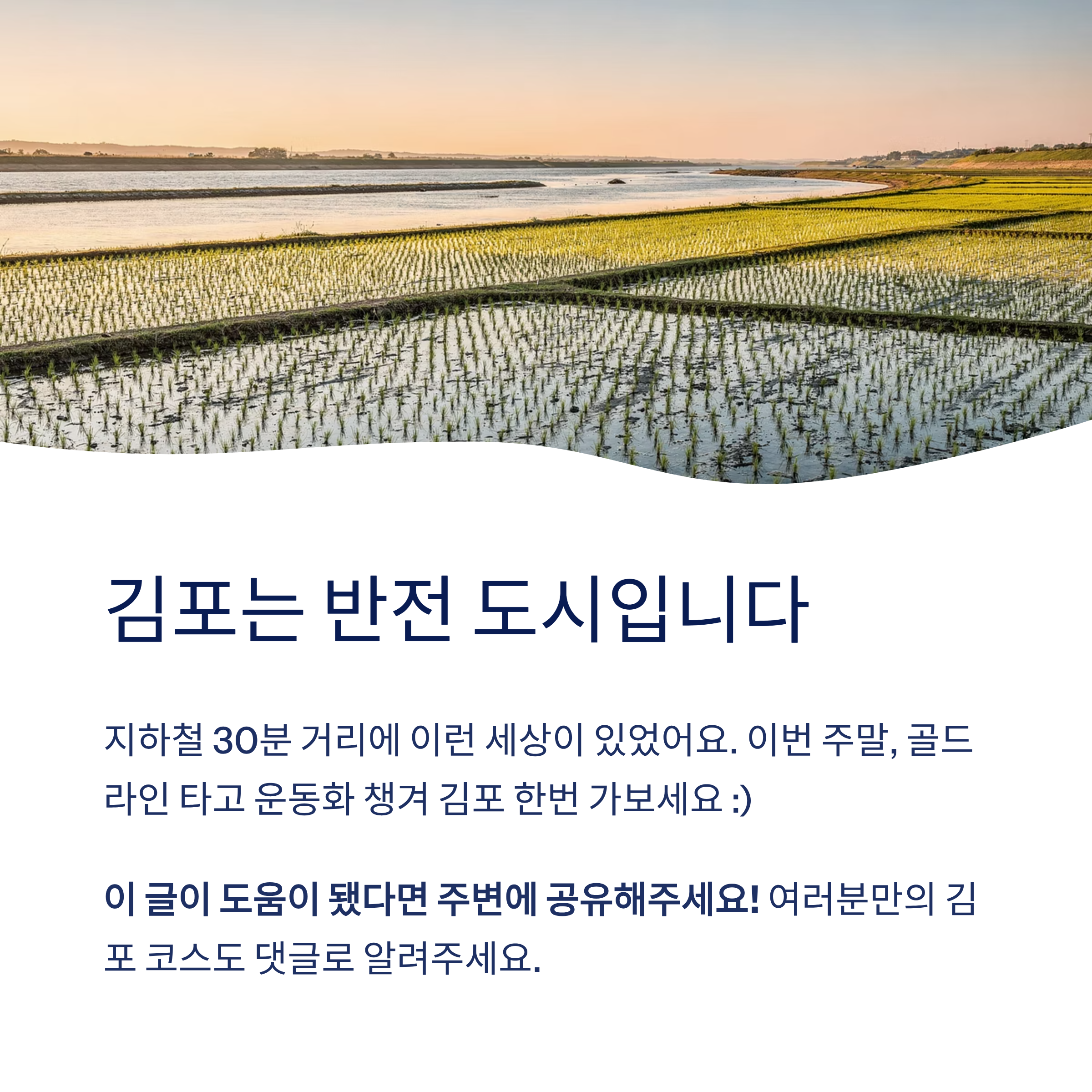 김포 근교 산책 달리기 트레킹 코스 추천 ❘ 한강 하구와 평야가 만드는 서울 옆 힐링 루트