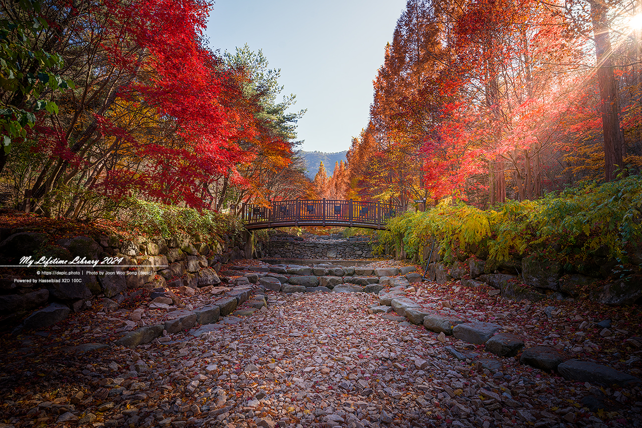 대전 상소동산림욕장 단풍 석탑