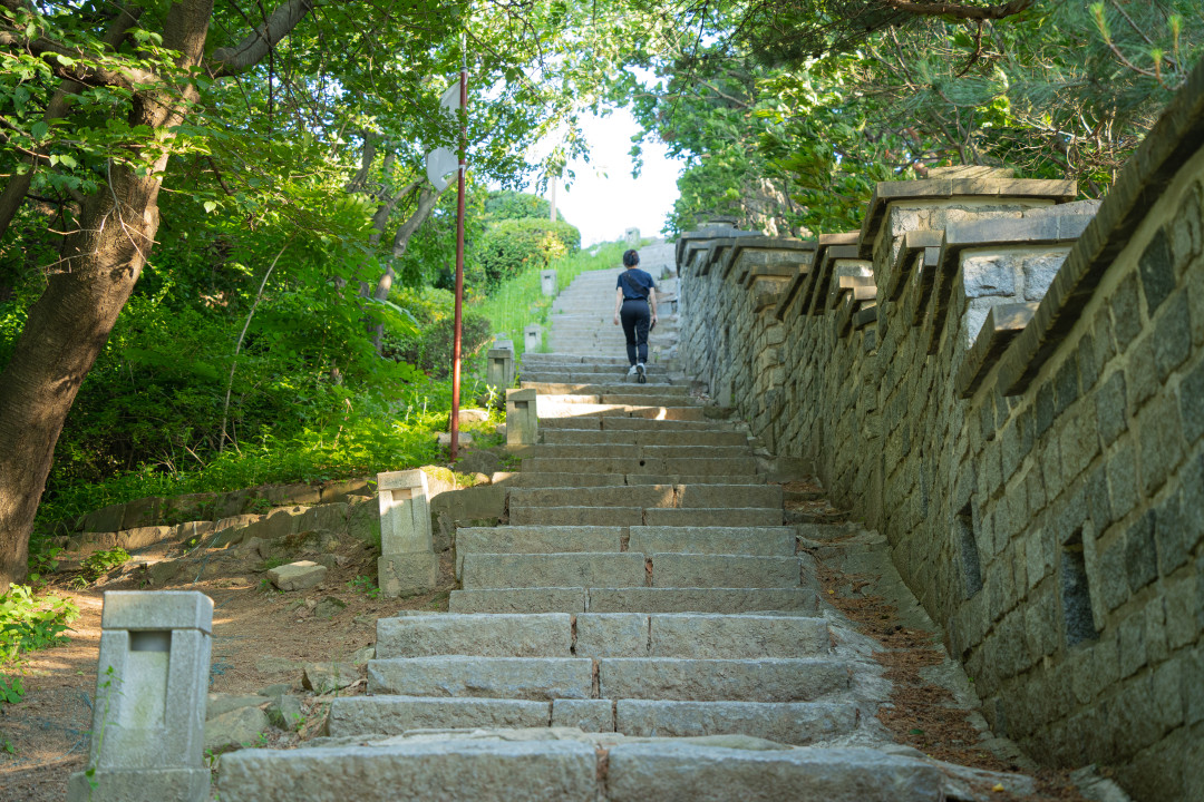 수원 팔달산 팔달산 올라가는길