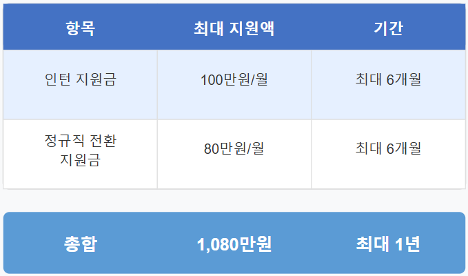 장애인 인턴제 최대 지원 금액