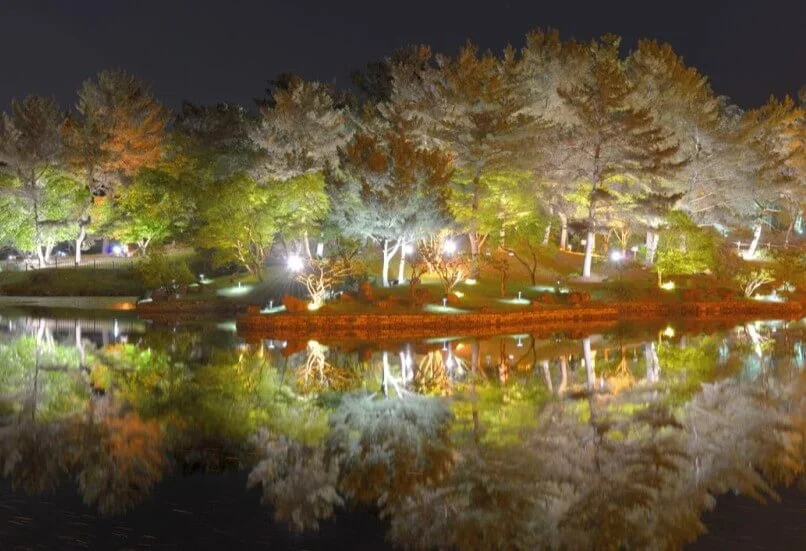 동궁과월지_나무