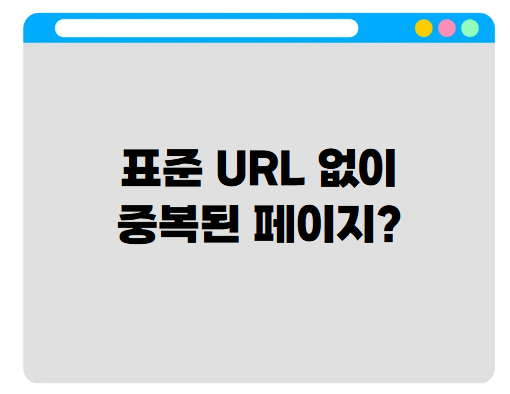 표준 URL 없이 중복된 페이지