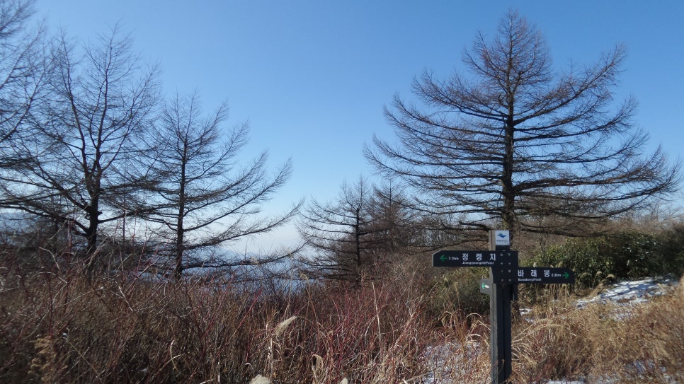 100대 명산 등산하기 열번째 지리산 바래봉(1,165m) 철쭉으로 전국적으로 유명하며, 지리산 북부 능선의 아름다움을 가장 가까이서 볼 수 있는 명소