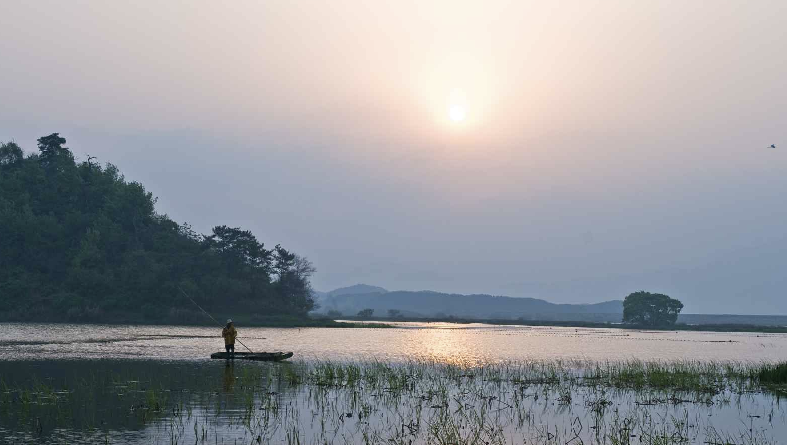 우포늪 전경