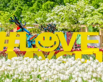 고양 꽃박람회_4