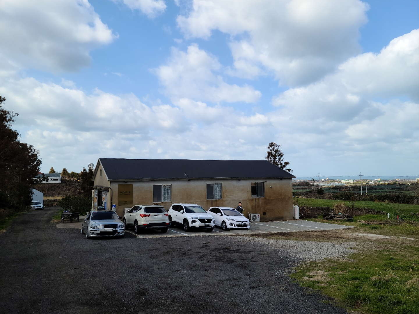 제주도 애견동반