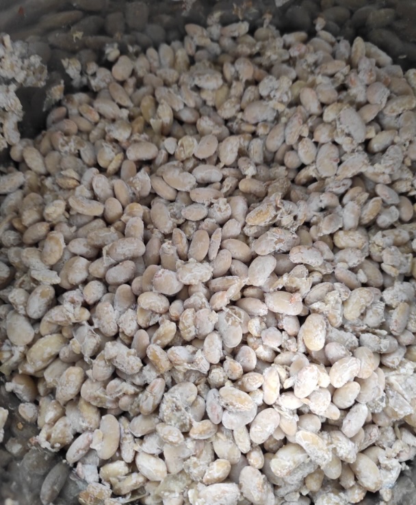 청국장환효능효과