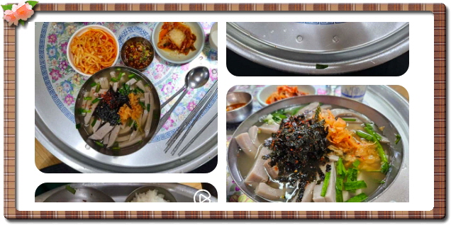 전현무계획2 대구 메밀묵채 메밀묵밥 정구지찌짐 후기