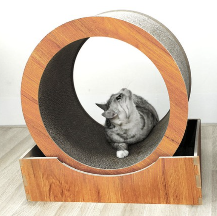 고양이 캣휠 추천 5