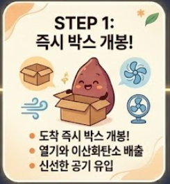 고구마 보관하는법
