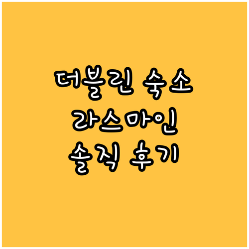 트래블로지 더블린 시티 라스마인! 가