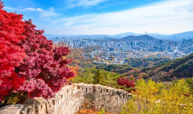 서울 단풍 명소 추천 5곳 : 고궁부터 숲길까지 도심 속 가을 산책길
