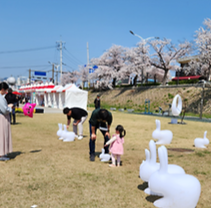 2024 정읍 벚꽃 축제