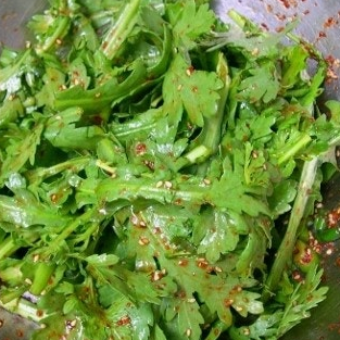 쑥갓의 효능 부작용 고르는법 칼로리 꽃