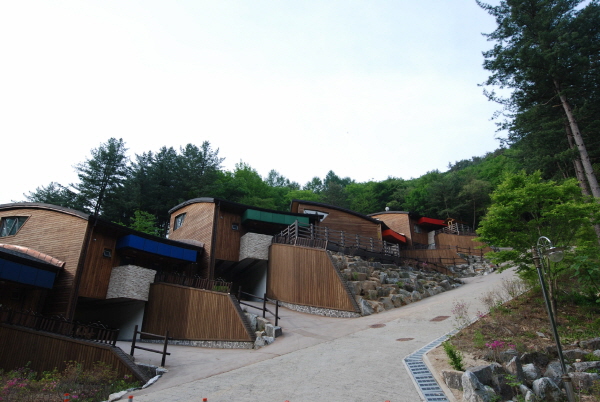 강씨봉 자연휴양림