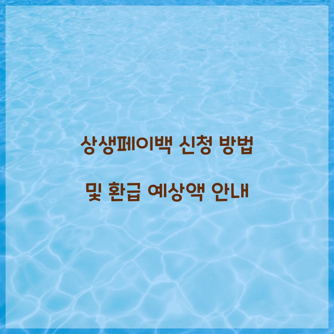 상생페이백