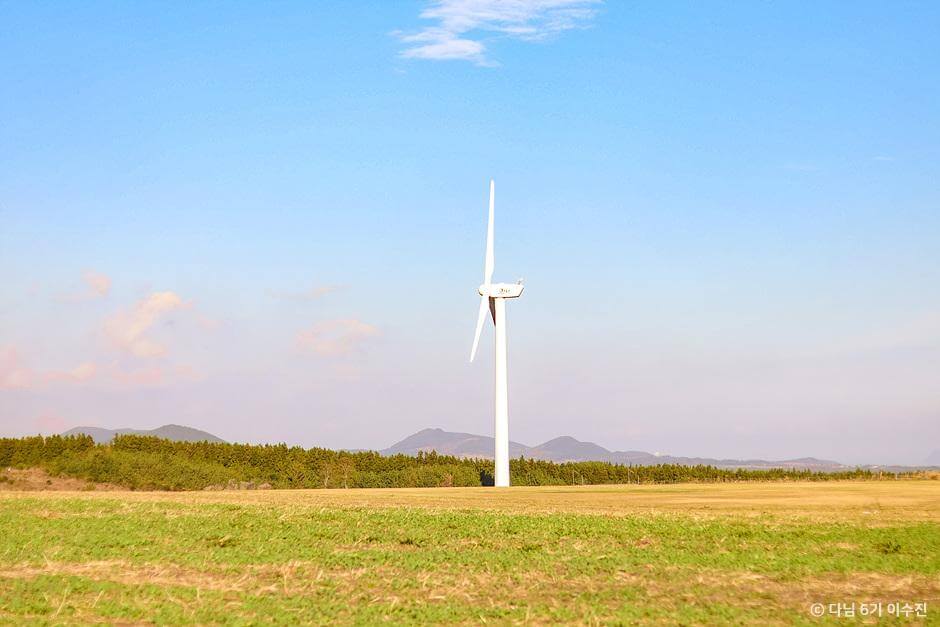 가을 여행지 제주도 은빛 물결 억새 추천 장소