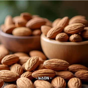 마그네슘이 풍부한 음식 