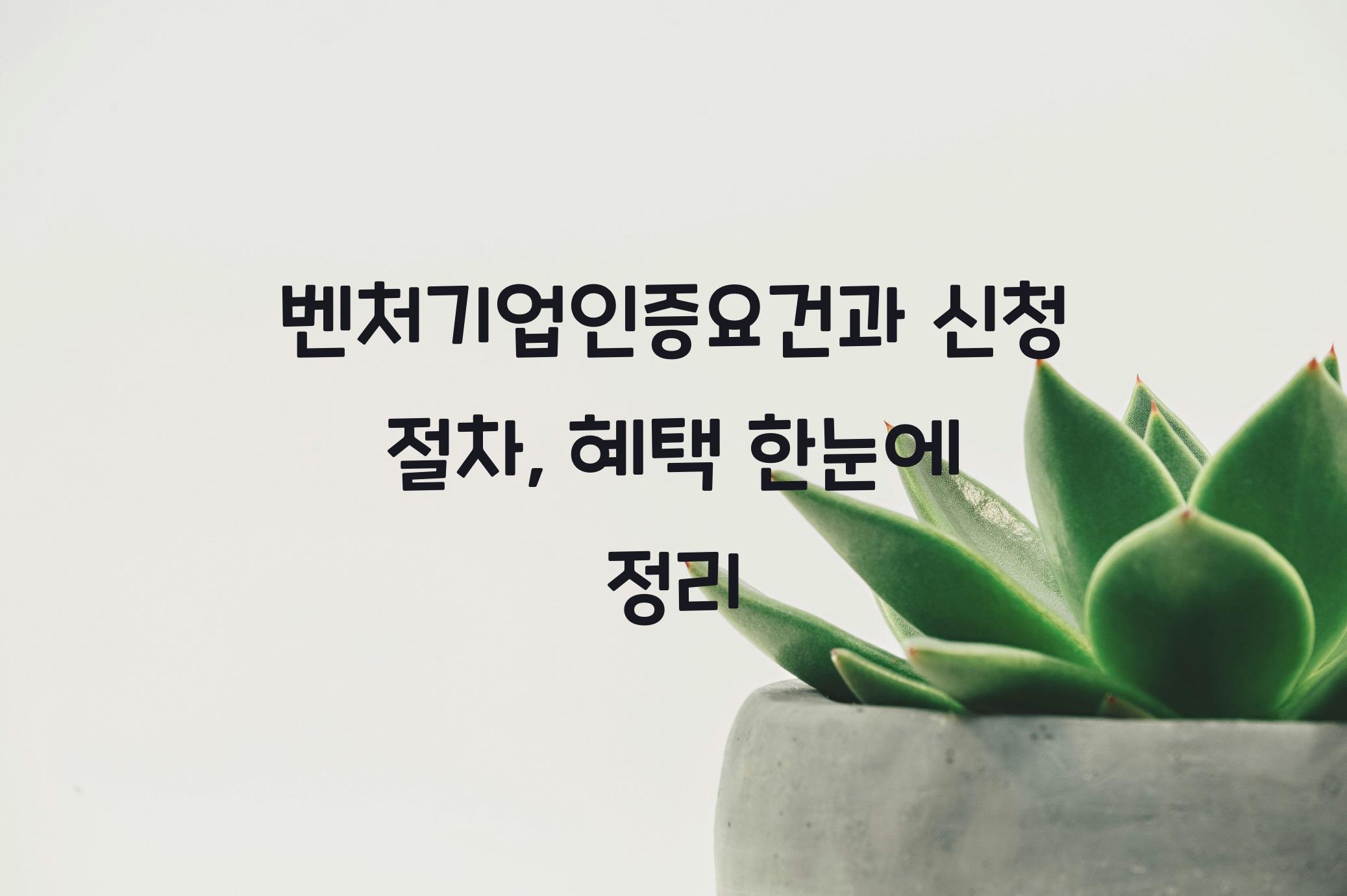 벤처기업인증요건