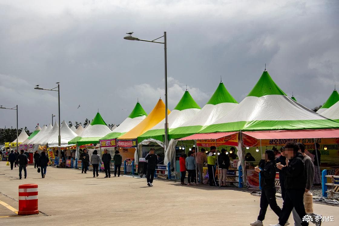 당고항 실치 축제 전경