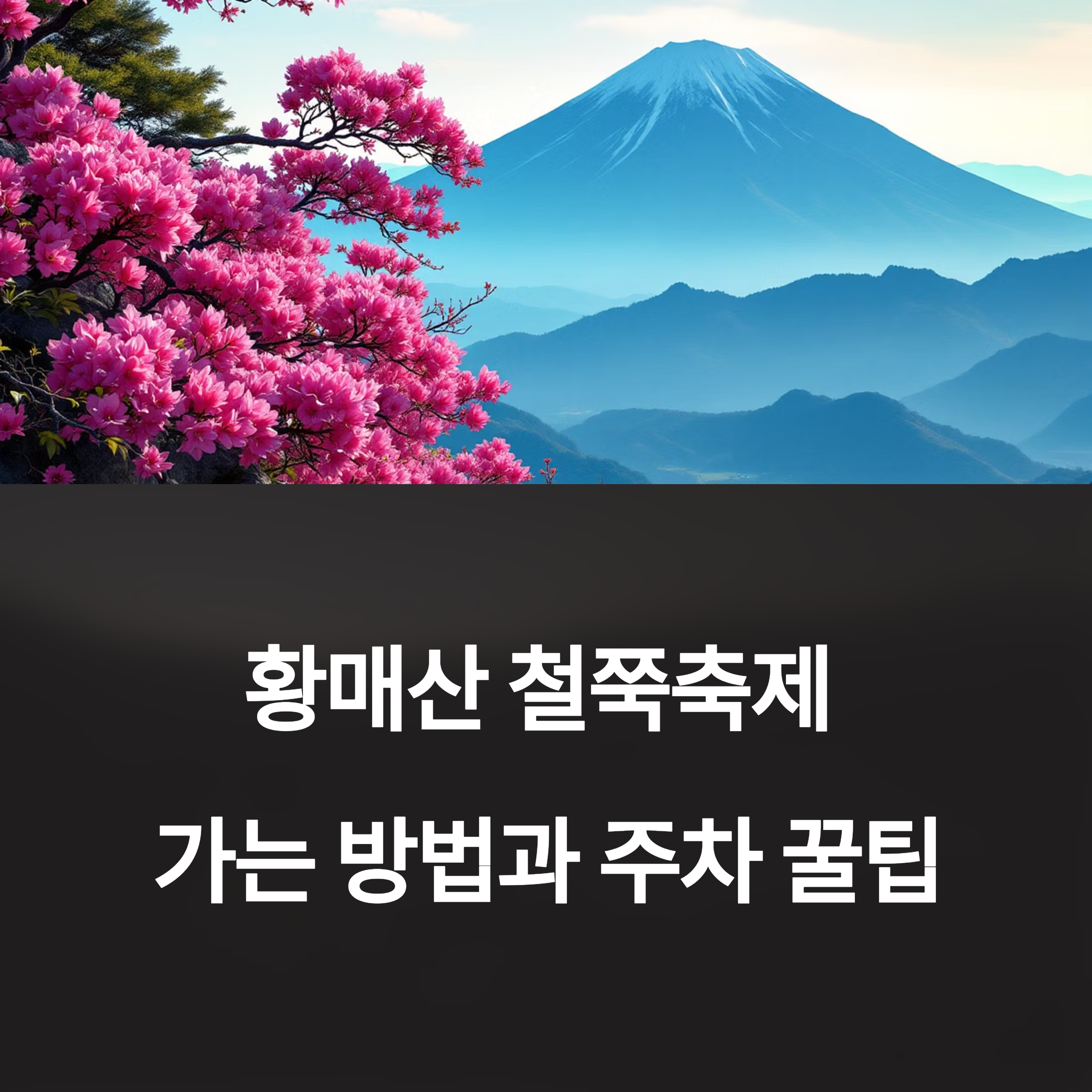 2025년 황매산 철쭉축제, 어떻게 가야 할까? (가는 방법, 경로, 주차, 셔틀버스)
