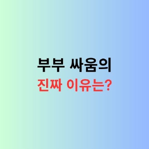 부부싸움의 진짜 원인을 파악해서 알려주는 이미지