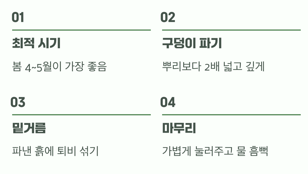 성공적인 첫걸음, 옮겨 심기