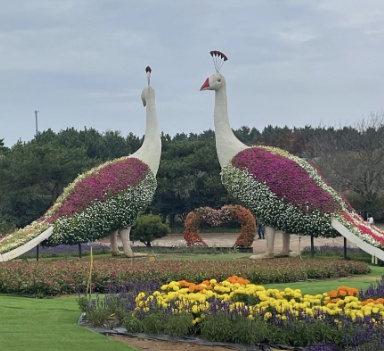 태안 코리아플라워파크 축제
