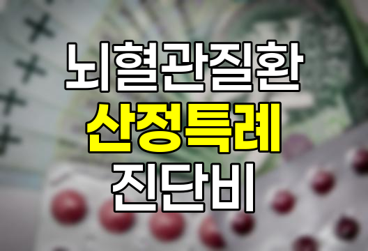뇌혈관질환 산정특례 진단비 보험 특약 해설