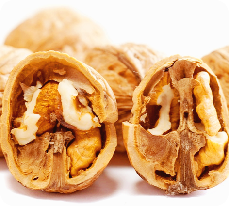 호두의 효능과 부작용