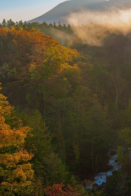 소변검사 수치 해석