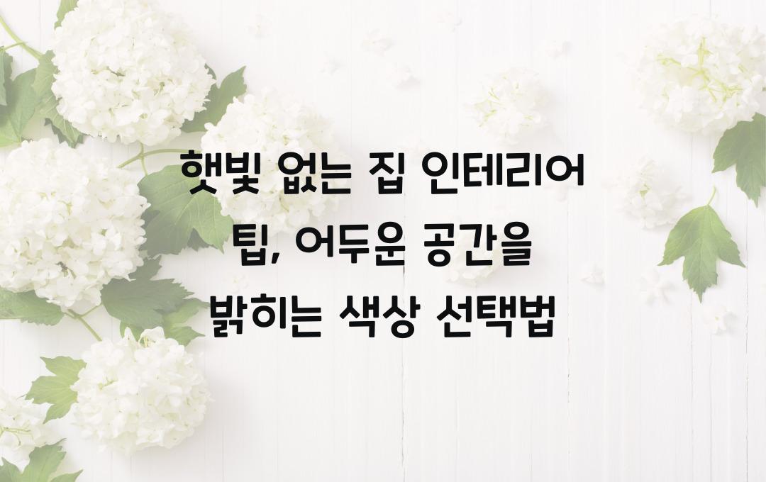 햇빛 없는 집 인테리어 팁, 어두운 공간을 밝게 만드는 색상 활용법