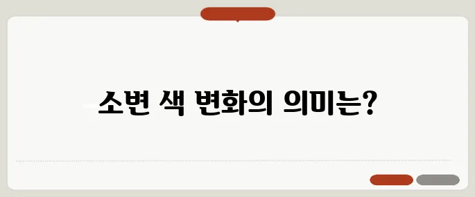 소변 색깔로 보는 건강 신호 노란색 이상은 문제일까