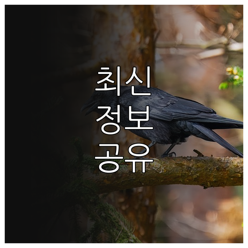 난임이라면 주목 2025 수원시 약제..