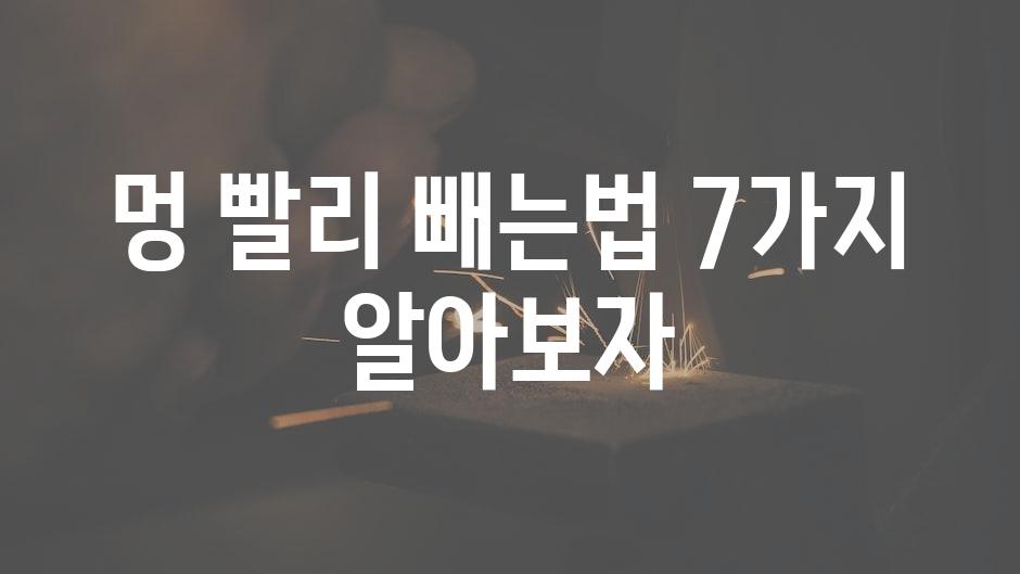 샘플 (60)