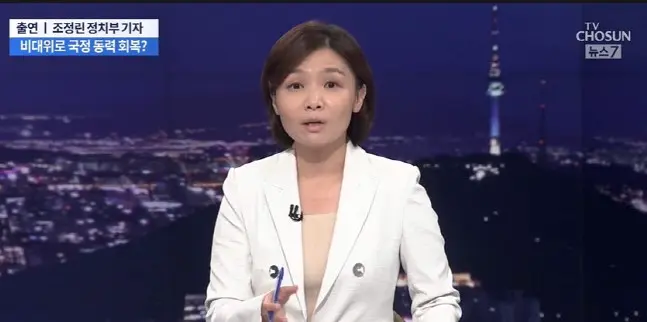 조정린 나이 대학 논란 남편 프로필