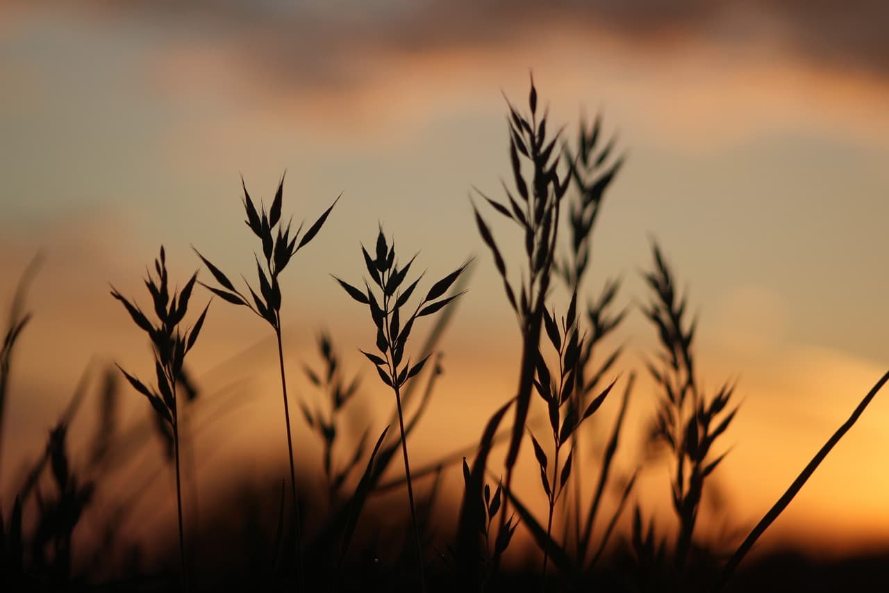 농산물 가공과 스마트팜 연계 비즈니스 모델 구축